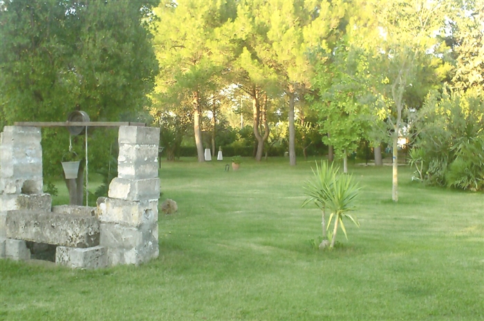 La vegetazione presente nell'agricampeggio