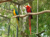 immagine degli esterni